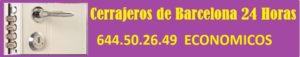 cerrajero vallromanes